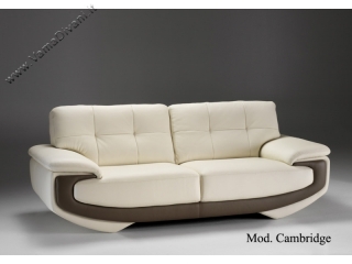 divano-in-pelle-cambrige