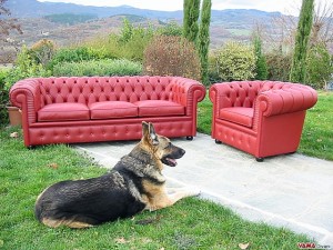 Divano e Poltrona Chesterfield rosso acceso