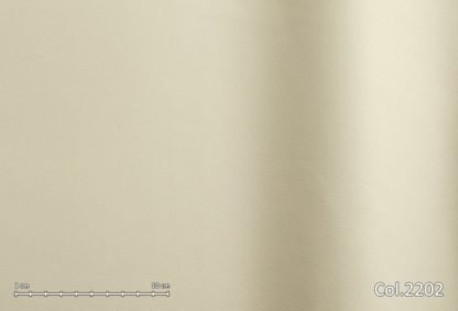 Iena - CAT. E - immagine 4
