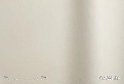 Iena - CAT. E - immagine 2