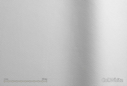 Bisone - CAT. E - immagine 27